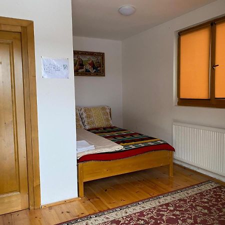 Camere De Inchiriat Floarea Reginei Viseu de Sus Bagian luar foto