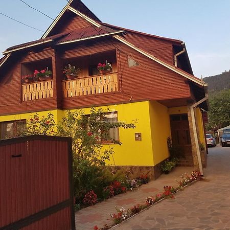 Camere De Inchiriat Floarea Reginei Viseu de Sus Bagian luar foto