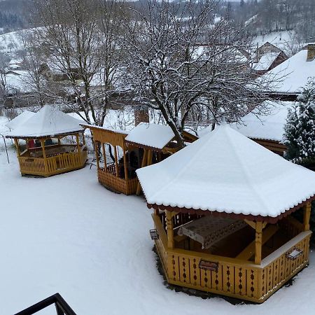 Camere De Inchiriat Floarea Reginei Viseu de Sus Bagian luar foto