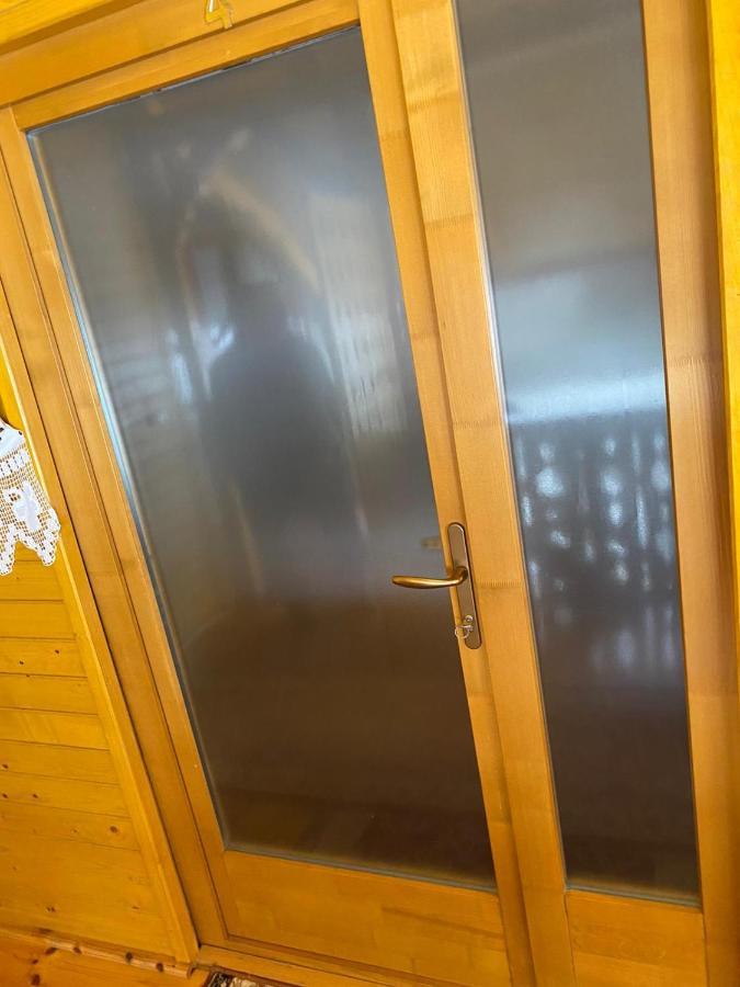 Camere De Inchiriat Floarea Reginei Viseu de Sus Bagian luar foto