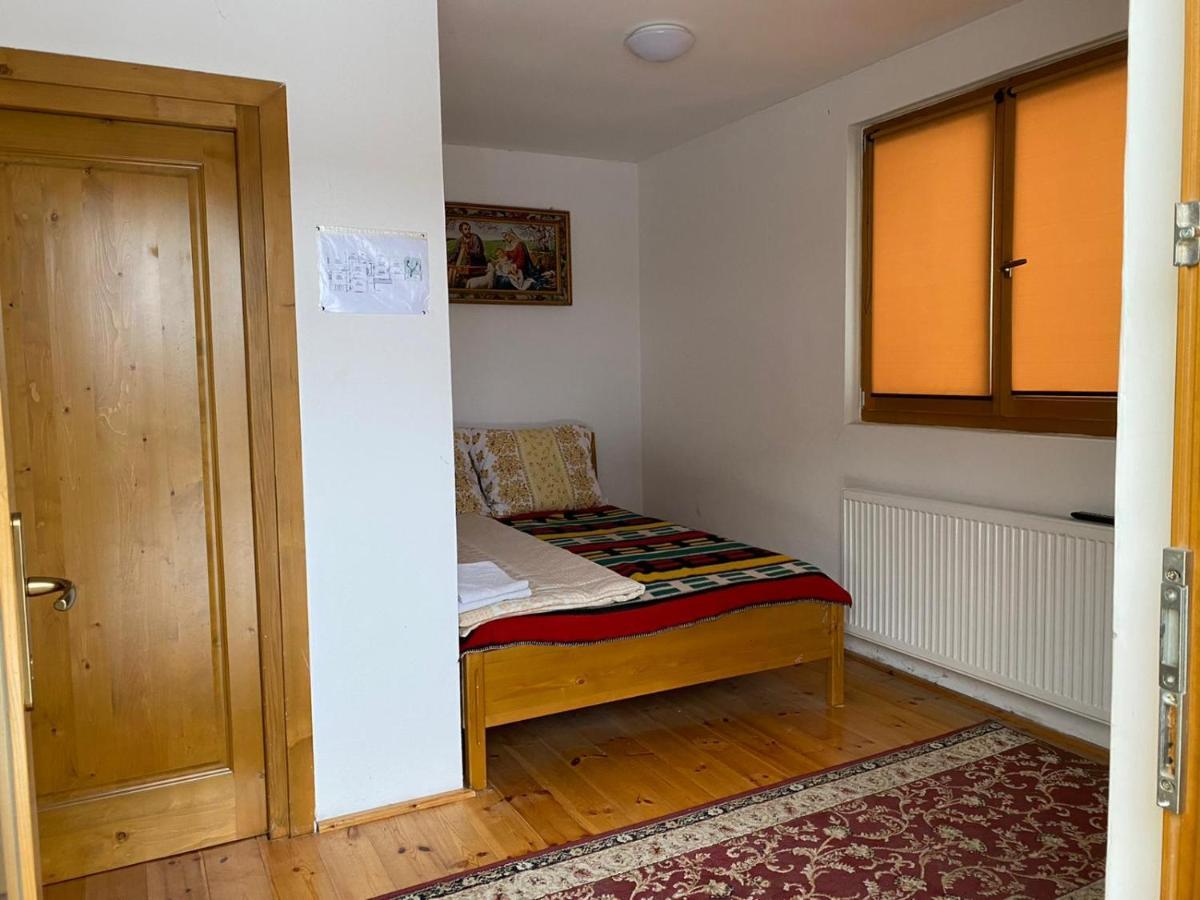 Camere De Inchiriat Floarea Reginei Viseu de Sus Bagian luar foto
