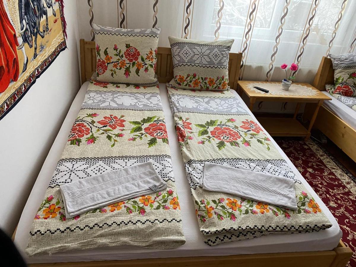 Camere De Inchiriat Floarea Reginei Viseu de Sus Bagian luar foto