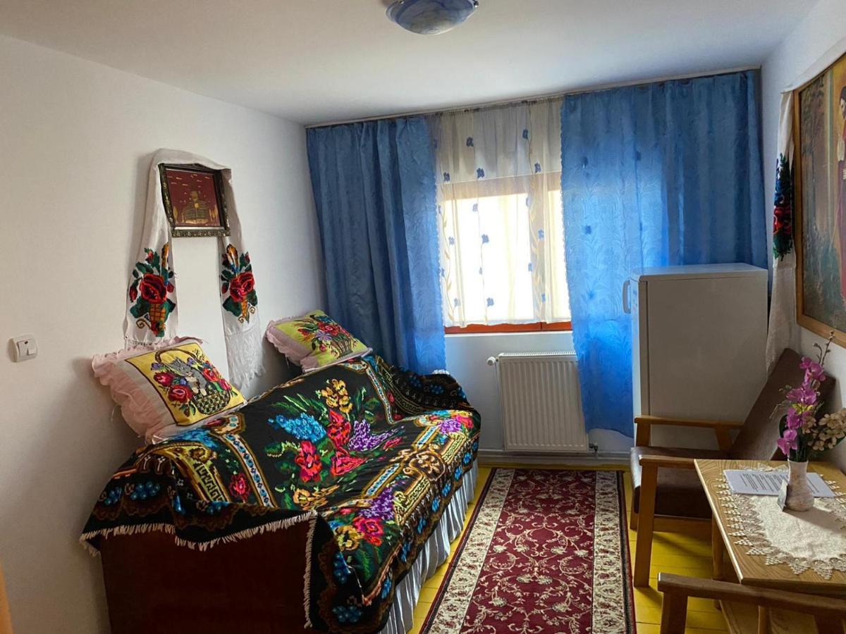 Camere De Inchiriat Floarea Reginei Viseu de Sus Bagian luar foto