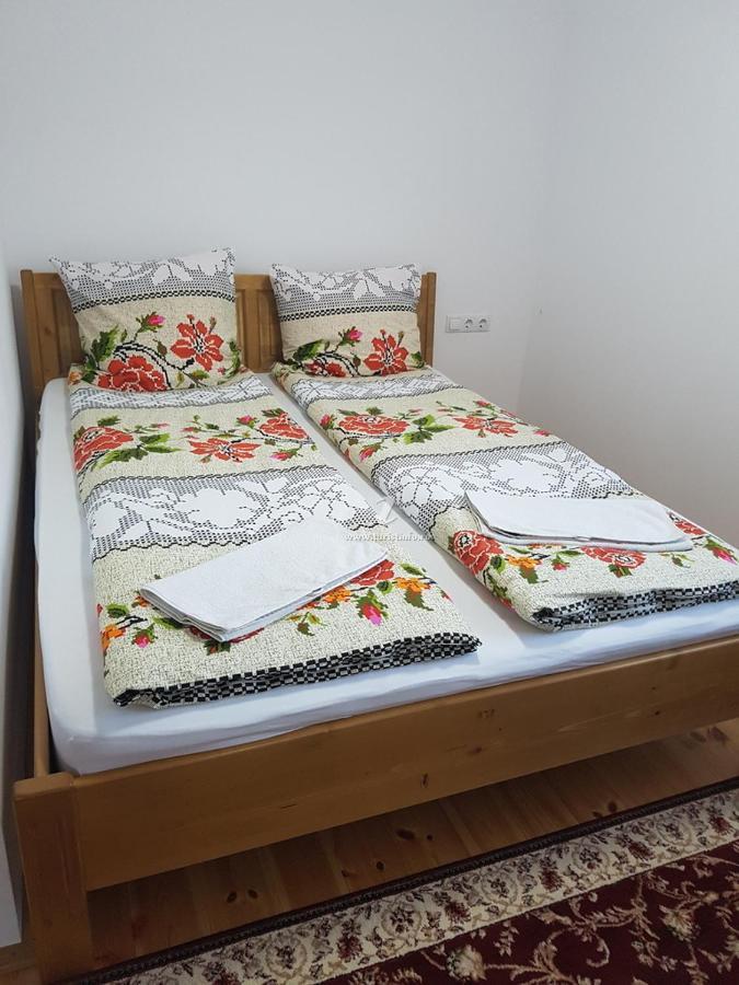 Camere De Inchiriat Floarea Reginei Viseu de Sus Bagian luar foto