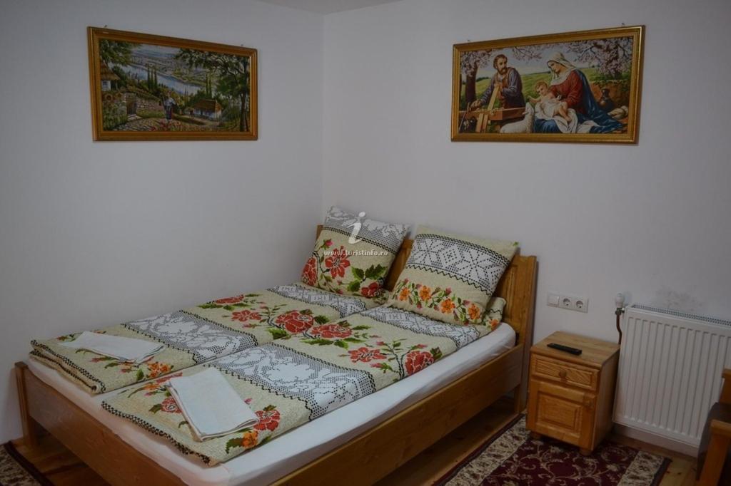 Camere De Inchiriat Floarea Reginei Viseu de Sus Bagian luar foto